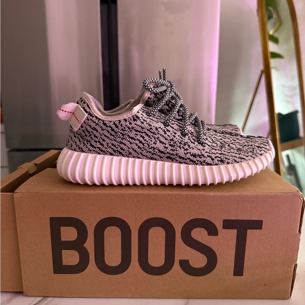 Adidas Yeezy Boost 350 in Turtle Dove